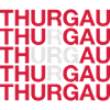 THURGAU Schweiz Suisse Switzerland Flag