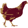 Huhn
