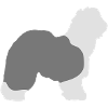 Bobtail