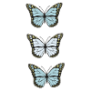 Collection de papillons