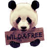 Wild and free Panda bear