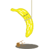 dead banana