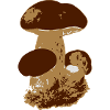 Pilz