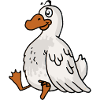 Duck Goose Poultry Turkey poults chicken chicken
