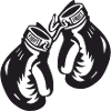 Boxhandschuhe