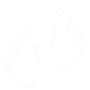 Boxhandschuhe