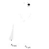 Eisbär
