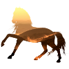 Pferd