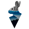 Hase