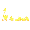 canards