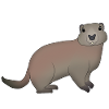 Murmeltier