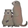 Two marmots