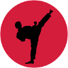 Kampfsport, Kick
