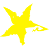 Stern