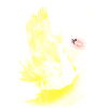 Der Goldene Schwan