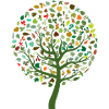 Feuilles de saison