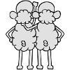 Sheep - Amis