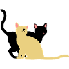 2 chats