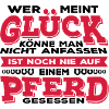 Glück Pferd