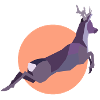 Sunset Deer