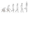 L'évolution humaine - DANCING