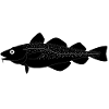 Dorsch_vollformat_schwarz