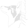 Mali_Profil