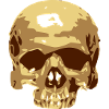Skull /// /// vector skull