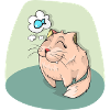 doux chat