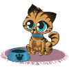 Sweed Kitty