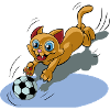 doux chat