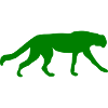 Green Tiger