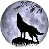 Loup lune Halloween nuit cauchemar
