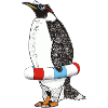 PENGUIN WAITS FOR SUMMER