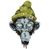 Monkey with hat