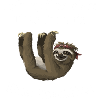 Faultier 1