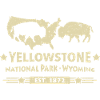 Buffalo Bison Buffalo Yellowstone National Park USA