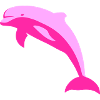 Pink dolphin