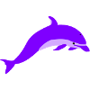 Purple dolphin