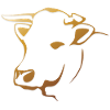 cow-1485012