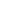 EISHOCKEY EVOLUTION