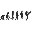 Evolution Karate