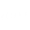 Evolution Skater