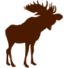 Moose