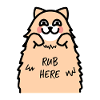 Funny Cat Design