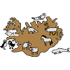 island Karte Tiere