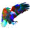 Adler Eagle
