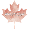 Manitoba Maple Leaf
