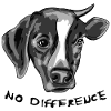 Geen verschil tussen de hond en de koe