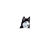 Husky